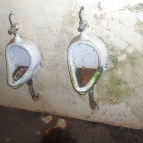 Université de Yaoundé 1 : Le savoir ignore les toilettes