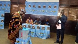 2018 Senatorial Elections in Cameroon: ELECAM Receives a pass mark from observers