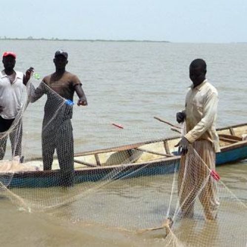Nord -Fleuve Lagdo: Les populations satisfaites de la reprise de la pêche
