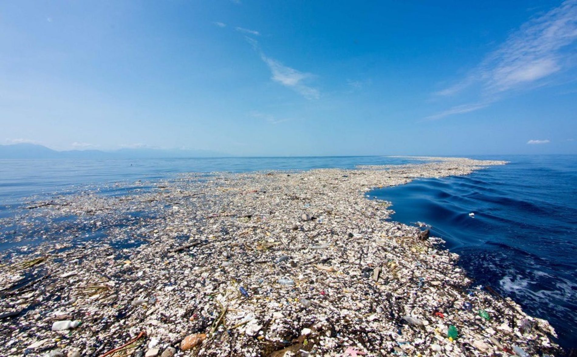 Océan Pacifique – déchets plastiques: Une association se lance un pari fou!