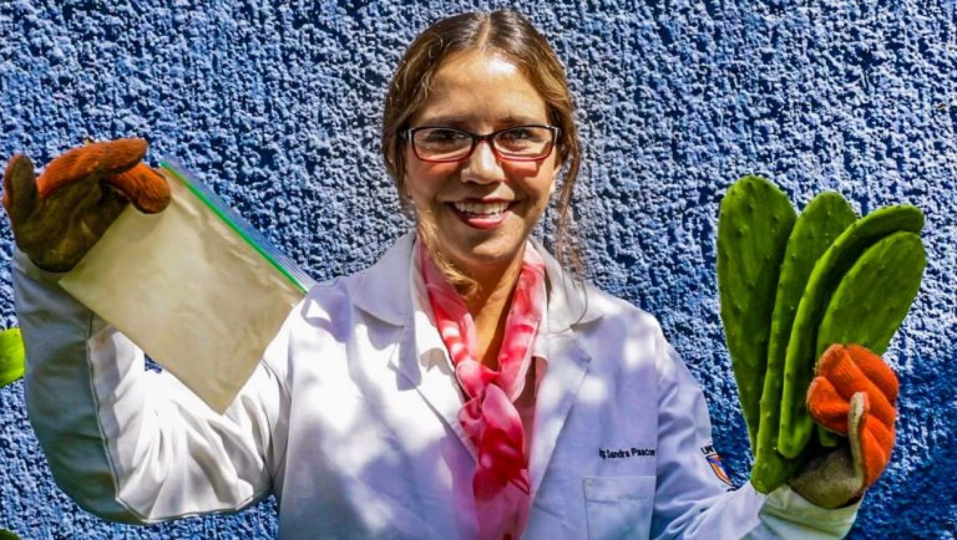 Environnement: Une mexicaine invente du plastique biodégradable fait en cactus