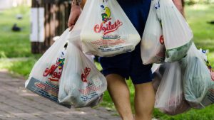 Canada : L’interdiction des sacs de plastique annulée par la Cour d’appel