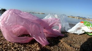 Protection de l’Environnement : La Nouvelle-Calédonie interdit l’utilisation des sacs plastique à usage unique