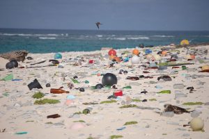 Seychelles – Environnement : Interdiction du plastique à usage unique