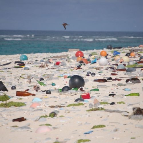 Seychelles – Environnement : Interdiction du plastique à usage unique