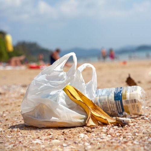 Tanzanie – Environnement: EcoAct redonne une seconde vie au plastique