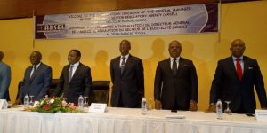 Agence de Régulation du Secteur de l’Electricité : Jean Pascal Nkou prend les commandes