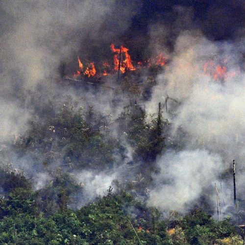 Incendies en Amazonie : Voici ce que vous devez savoir des conséquences climatiques!