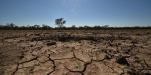 Changement climatique : Les sols en danger selon un rapport alarmant du GIEC !