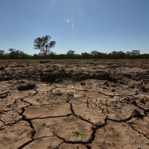 Changement climatique : Les sols en danger selon un rapport alarmant du GIEC !