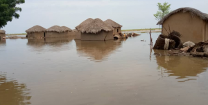 Région de l’Extrême-Nord : Trois communes touchées par les inondations