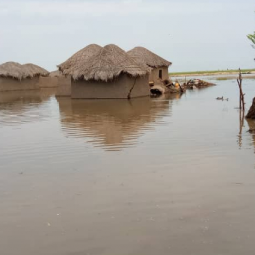 Région de l’Extrême-Nord : Trois communes touchées par les inondations