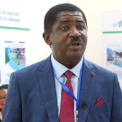Décentralisation: Le Cameroun s’achemine-t-il enfin vers la fonction publique locale?